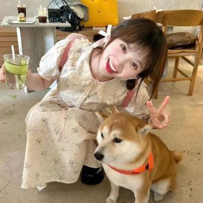 完美伴侣